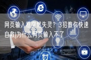 网页输入框突然失灵？3招教你快速自救|为什么网页输入不了